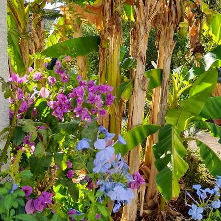 Bienvenue A Casalua, Jolie Grange Zen *