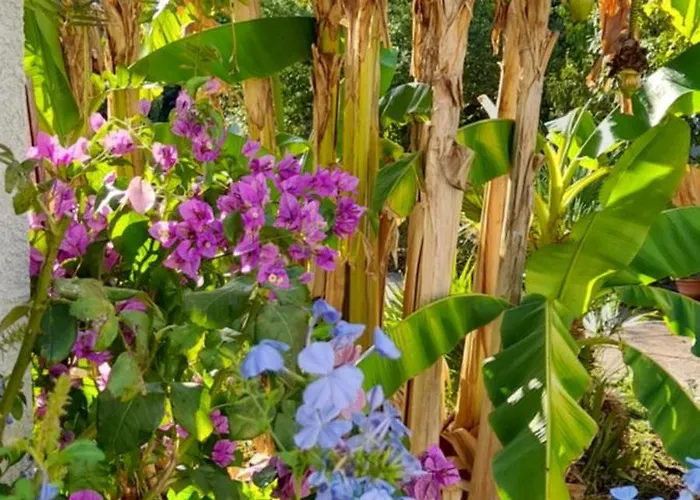 Bienvenue A Casalua, Jolie Grange Zen *